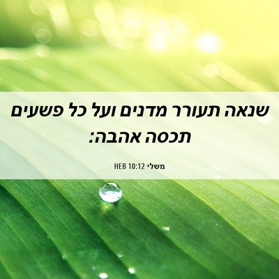 Picture 06 - משלי 10:12 HEB - שנאה תעורר מדנים ועל כל - Bible Verse Picture