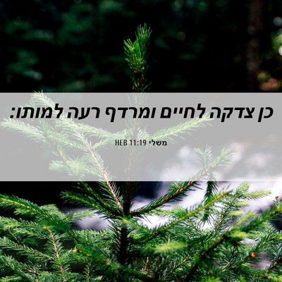 Picture 06 - משלי 11:19 HEB - כן צדקה לחיים ומרדף רעה - Bible Verse Picture