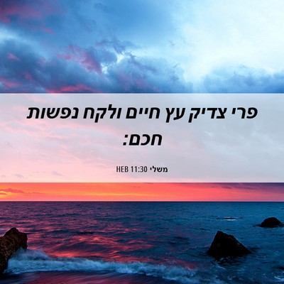 Picture 06 - משלי 11:30 HEB - פרי צדיק עץ חיים ולקח נפשות - Bible Verse Picture