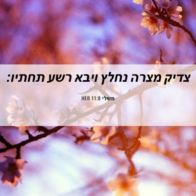 Picture 06 - משלי 11:8 HEB - צדיק מצרה נחלץ ויבא רשע - Bible Verse Picture