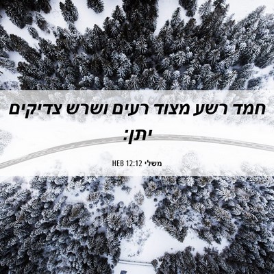 Picture 06 - משלי 12:12 HEB - חמד רשע מצוד רעים ושרש - Bible Verse Picture