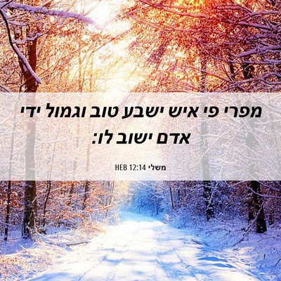 Picture 06 - משלי 12:14 HEB - מפרי פי איש ישבע טוב וגמול - Bible Verse Picture