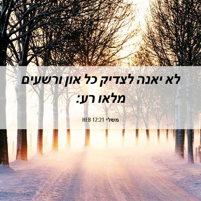 Picture 06 - משלי 12:21 HEB - לא יאנה לצדיק כל און ורשעים - Bible Verse Picture