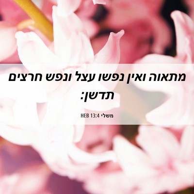 Picture 06 - משלי 13:4 HEB - מתאוה ואין נפשו עצל ונפש - Bible Verse Picture
