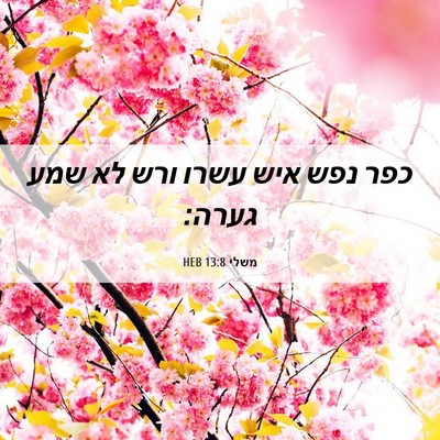 Picture 06 - משלי 13:8 HEB - כפר נפש איש עשרו ורש לא שמע - Bible Verse Picture
