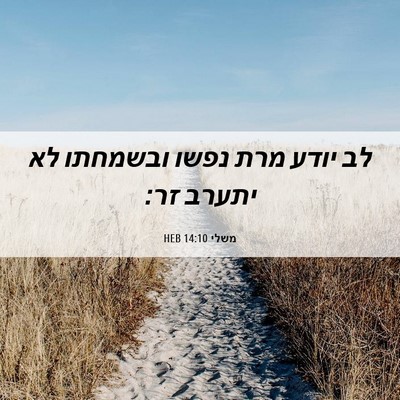 Picture 06 - משלי 14:10 HEB - לב יודע מרת נפשו ובשמחתו לא - Bible Verse Picture