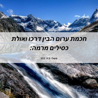 Picture 06 - משלי 14:8 HEB - חכמת ערום הבין דרכו ואולת - Bible Verse Picture