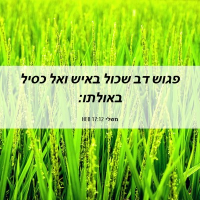 Picture 06 - משלי 17:12 HEB - פגוש דב שכול באיש ואל כסיל - Bible Verse Picture