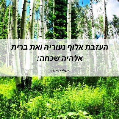 Picture 06 - משלי 2:17 HEB - העזבת אלוף נעוריה ואת ברית - Bible Verse Picture