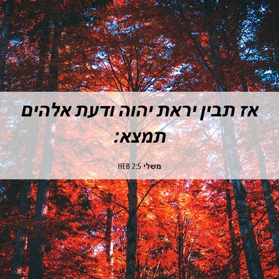 Picture 06 - משלי 2:5 HEB - אז תבין יראת יהוה ודעת - Bible Verse Picture