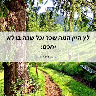 Picture 06 - משלי 20:1 HEB - לץ היין המה שכר וכל שגה בו - Bible Verse Picture