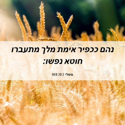 Picture 06 - משלי 20:2 HEB - נהם ככפיר אימת מלך מתעברו - Bible Verse Picture