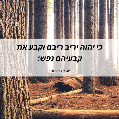 Picture 06 - משלי 22:23 HEB - כי יהוה יריב ריבם וקבע את - Bible Verse Picture