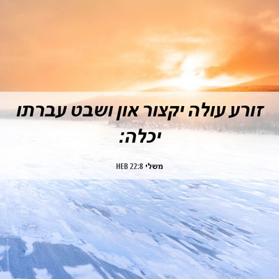 Picture 06 - משלי 22:8 HEB - זורע עולה יקצור און ושבט - Bible Verse Picture
