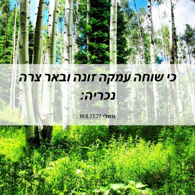 Picture 06 - משלי 23:27 HEB - כי שוחה עמקה זונה ובאר צרה - Bible Verse Picture