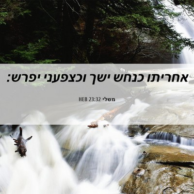 Picture 06 - משלי 23:32 HEB - אחריתו כנחש ישך וכצפעני - Bible Verse Picture
