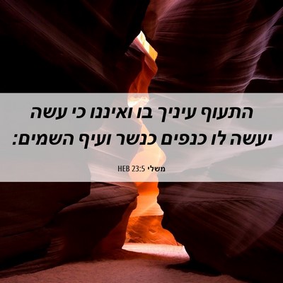 Picture 06 - משלי 23:5 HEB - התעוף עיניך בו ואיננו כי - Bible Verse Picture