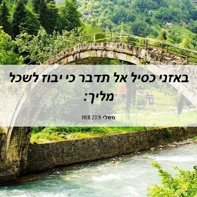 Picture 06 - משלי 23:9 HEB - באזני כסיל אל תדבר כי יבוז - Bible Verse Picture