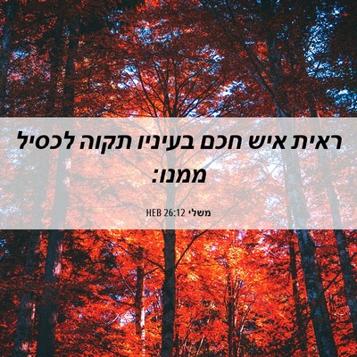 Picture 06 - משלי 26:12 HEB - ראית איש חכם בעיניו תקוה - Bible Verse Picture