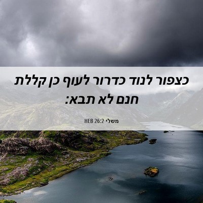 Picture 06 - משלי 26:2 HEB - כצפור לנוד כדרור לעוף כן - Bible Verse Picture