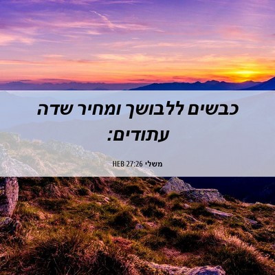 Picture 06 - משלי 27:26 HEB - כבשים ללבושך ומחיר שדה - Bible Verse Picture