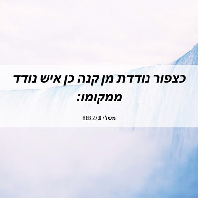 Picture 06 - משלי 27:8 HEB - כצפור נודדת מן קנה כן איש - Bible Verse Picture