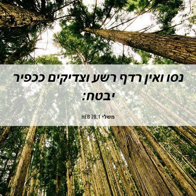 Picture 06 - משלי 28:1 HEB - נסו ואין רדף רשע וצדיקים - Bible Verse Picture