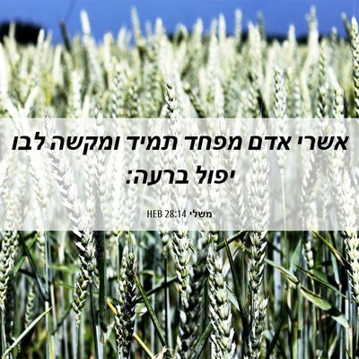 Picture 06 - משלי 28:14 HEB - אשרי אדם מפחד תמיד ומקשה - Bible Verse Picture