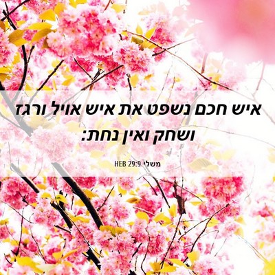 Picture 06 - משלי 29:9 HEB - איש חכם נשפט את איש אויל - Bible Verse Picture