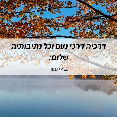 Picture 06 - משלי 3:17 HEB - דרכיה דרכי נעם וכל - Bible Verse Picture