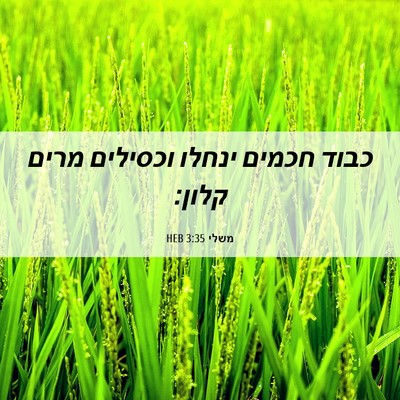 Picture 06 - משלי 3:35 HEB - כבוד חכמים ינחלו וכסילים - Bible Verse Picture
