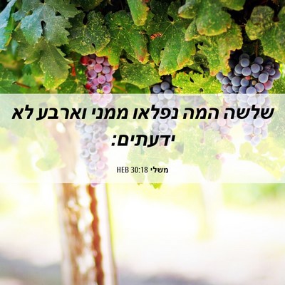 Picture 06 - משלי 30:18 HEB - שלשה המה נפלאו ממני וארבע - Bible Verse Picture