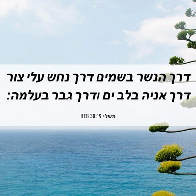 Picture 06 - משלי 30:19 HEB - דרך הנשר בשמים דרך נחש עלי - Bible Verse Picture