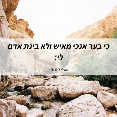 Picture 06 - משלי 30:2 HEB - כי בער אנכי מאיש ולא בינת - Bible Verse Picture