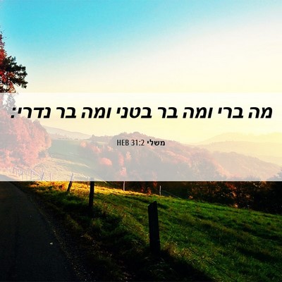 Picture 06 - משלי 31:2 HEB - מה ברי ומה בר בטני ומה בר - Bible Verse Picture
