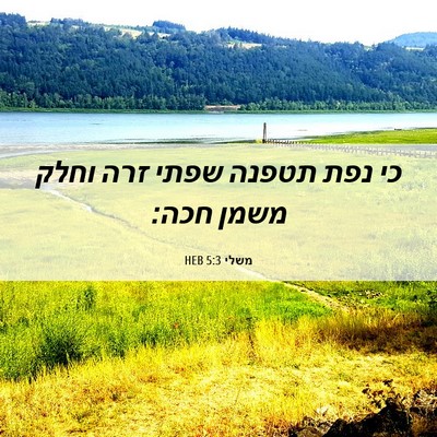Picture 06 - משלי 5:3 HEB - כי נפת תטפנה שפתי זרה וחלק - Bible Verse Picture