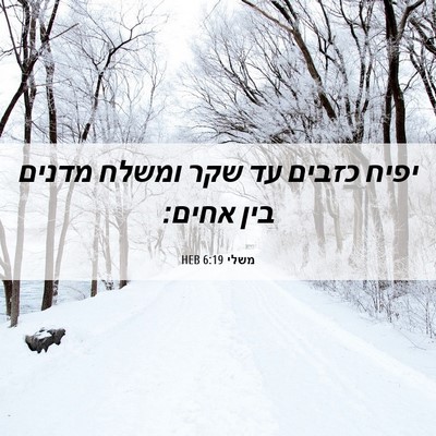 Picture 06 - משלי 6:19 HEB - יפיח כזבים עד שקר ומשלח - Bible Verse Picture