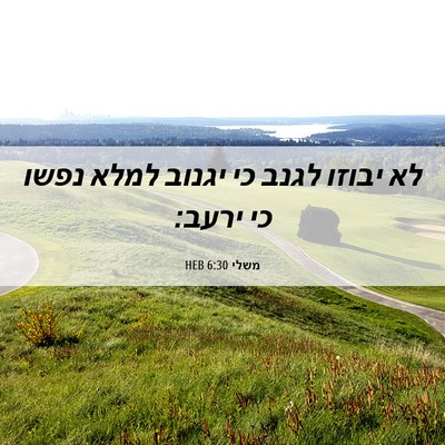 Picture 06 - משלי 6:30 HEB - לא יבוזו לגנב כי יגנוב למלא - Bible Verse Picture