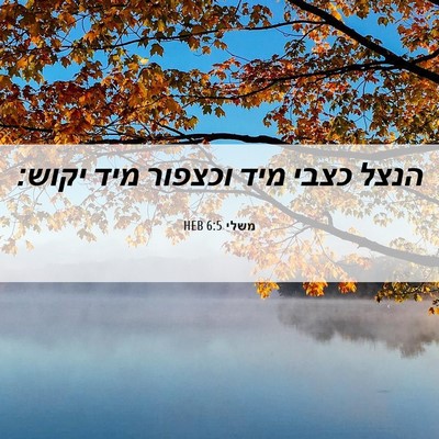 Picture 06 - משלי 6:5 HEB - הנצל כצבי מיד וכצפור מיד - Bible Verse Picture
