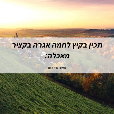 Picture 06 - משלי 6:8 HEB - תכין בקיץ לחמה אגרה בקציר - Bible Verse Picture