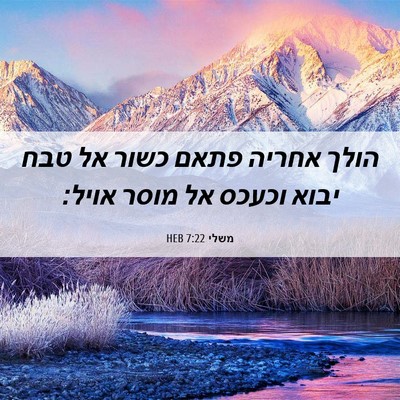 Picture 06 - משלי 7:22 HEB - הולך אחריה פתאם כשור אל טבח - Bible Verse Picture