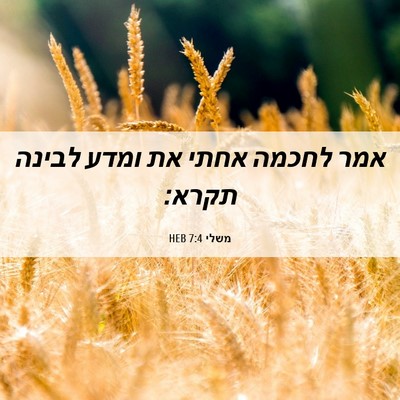 Picture 06 - משלי 7:4 HEB - אמר לחכמה אחתי את ומדע - Bible Verse Picture