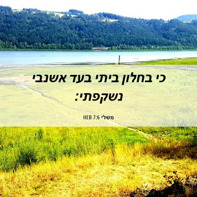Picture 06 - משלי 7:6 HEB - כי בחלון ביתי בעד אשנבי - Bible Verse Picture