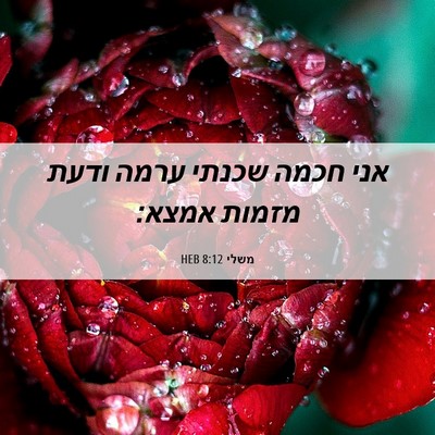 Picture 06 - משלי 8:12 HEB - אני חכמה שכנתי ערמה ודעת - Bible Verse Picture