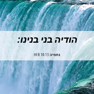 Picture 06 - נחמיה 10:13 HEB - הודיה בני - Bible Verse Picture