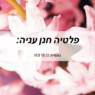 Picture 06 - נחמיה 10:22 HEB - פלטיה חנן - Bible Verse Picture