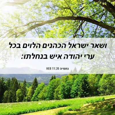 Picture 06 - נחמיה 11:20 HEB - ושאר ישראל הכהנים הלוים - Bible Verse Picture