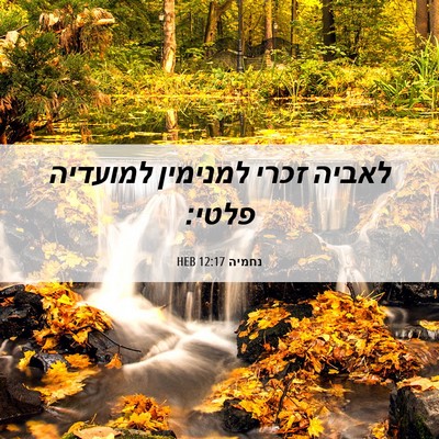 Picture 06 - נחמיה 12:17 HEB - לאביה זכרי למנימין למועדיה - Bible Verse Picture