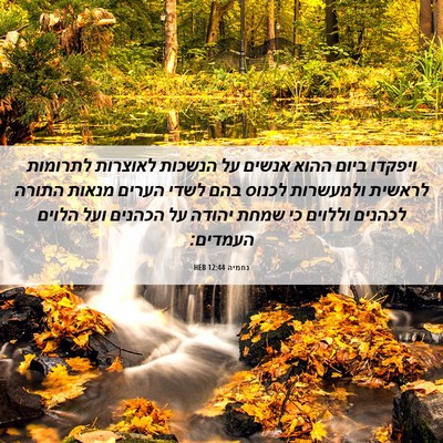 Picture 06 - נחמיה 12:44 HEB - ויפקדו ביום ההוא אנשים על - Bible Verse Picture