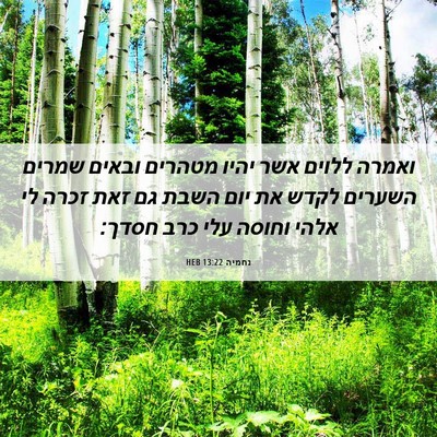 Picture 06 - נחמיה 13:22 HEB - ואמרה ללוים אשר יהיו - Bible Verse Picture